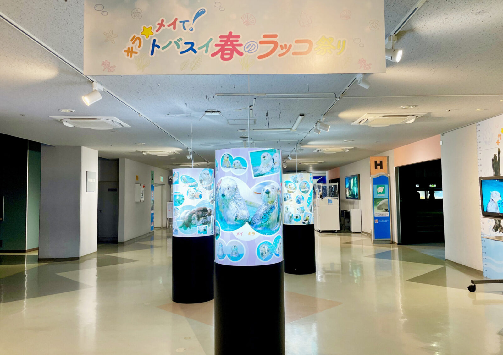 トバスイ春のラッコ祭り（鳥羽水族館） - 01